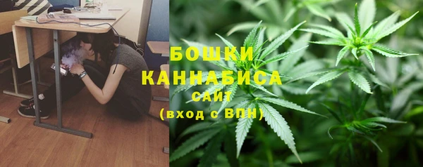 стаф Кинешма