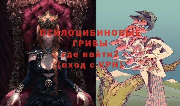 марки lsd Абаза