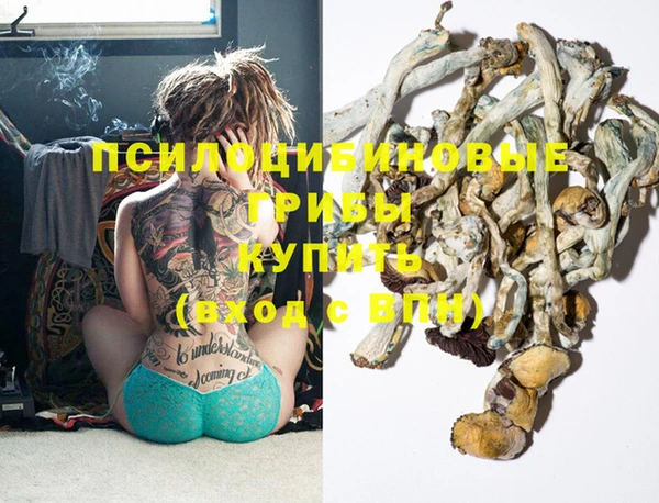 стафф Абинск