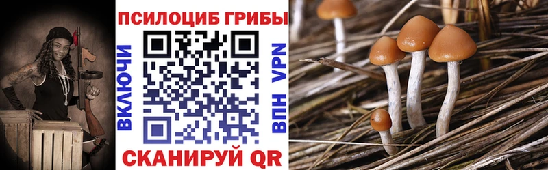 Псилоцибиновые грибы Cubensis  нарко площадка Telegram  Зарайск 